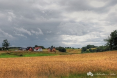 zaleze_45_widok_z_tarasu_lipiec_2012