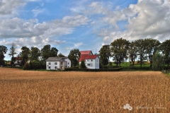 zaleze_dom_lipiec_2012