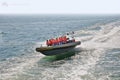 motorowka_jastarnia_2012