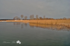 jez_resko_luty_2013m