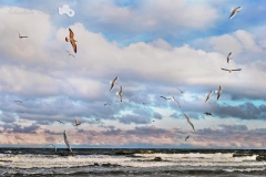 nad_morzem_dzwirzyno1_luty_2013m