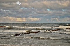 nad_morzem_dzwirzyno_luty_2013m