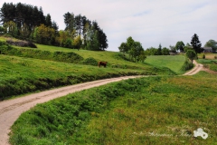 P_Chuta_2_16.02.2014m