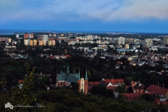 pacholek4_wrzesien_2012