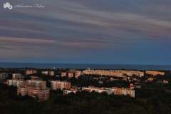 pacholek5_wrzesien_2012
